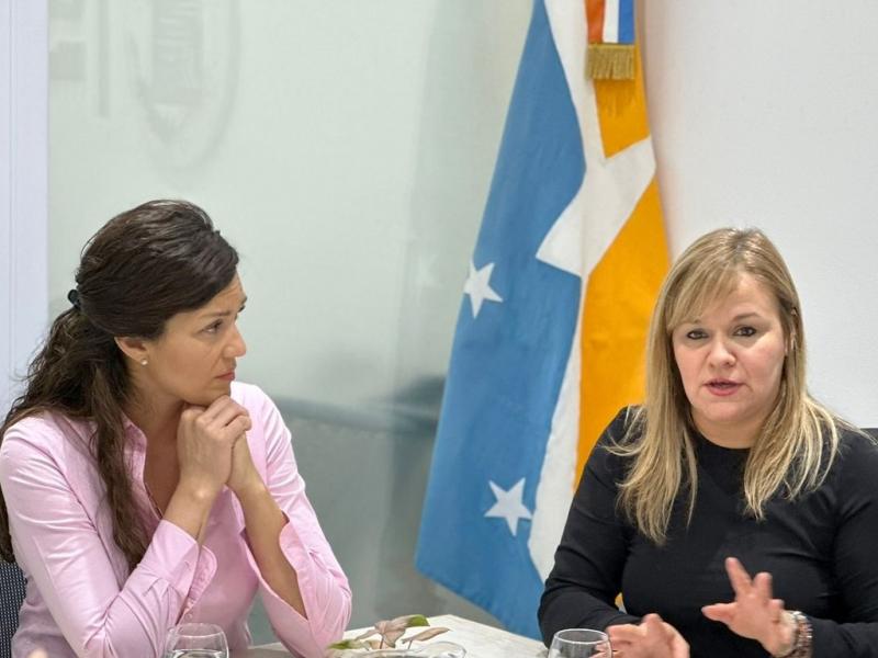 La presentacin de este proyecto se concreta tras la reunin que la Presidenta del Concejo Deliberante mantuvo con integrantes de la Red de Madres TDF,  la organizacin integrada por mams de pacientes oncolgicos.