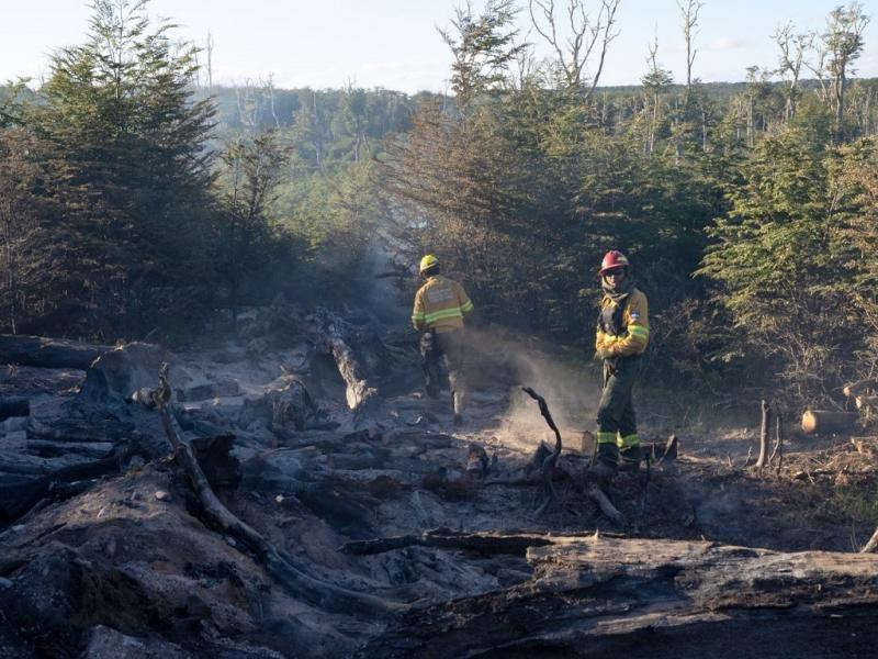 El estado del incendio se mantiene circunscripto, no hubo propagacin y no se detecta actividad de llama. Se recuerda que en caso de emergencia o si se detecta una columna de humo, se debe comunicar inmediatamente al 103 o 911.