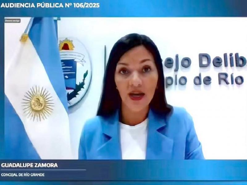 La tarifa de gas no puede ser tratada como un bien de lujo, sino que debe ser abordada como lo que es, un bien de extrema necesidad para nuestra poblacin, resalt Guadalupe Zamora.