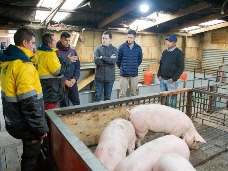 La idea de soberana alimentaria es la que nos orienta a la hora de pensar en polticas pblicas que promuevan la produccin local de alimentos bajo cuidados sanitarios ptimos, indic Gonzalo Ferro.