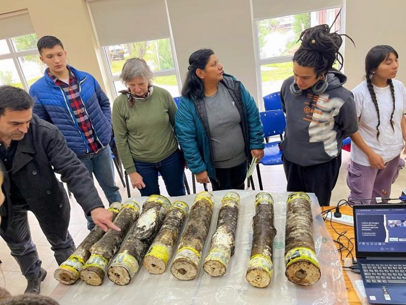 El cultivo de hongos se realiz en troncos de lenga de aprovechamiento forestal, siendo un primer tipo de abordaje con este tipo de sustrato, coment el Doctor Maximiliano Rugolo de CIEFAP-CONICET.