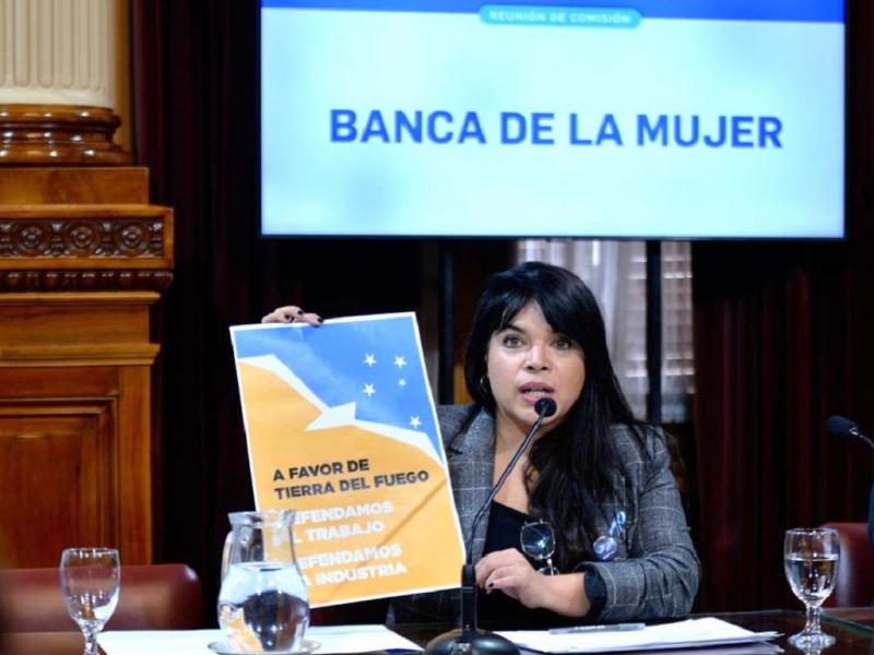 Hoy son miles de trabajadoras de la industria fueguina las que tienen en riesgo sus puestos de trabajo, eso repercute en sus familias y por consecuencia en los nios, nias y adolescentes, sostuvo la Senadora nacional Eugenia Dur.