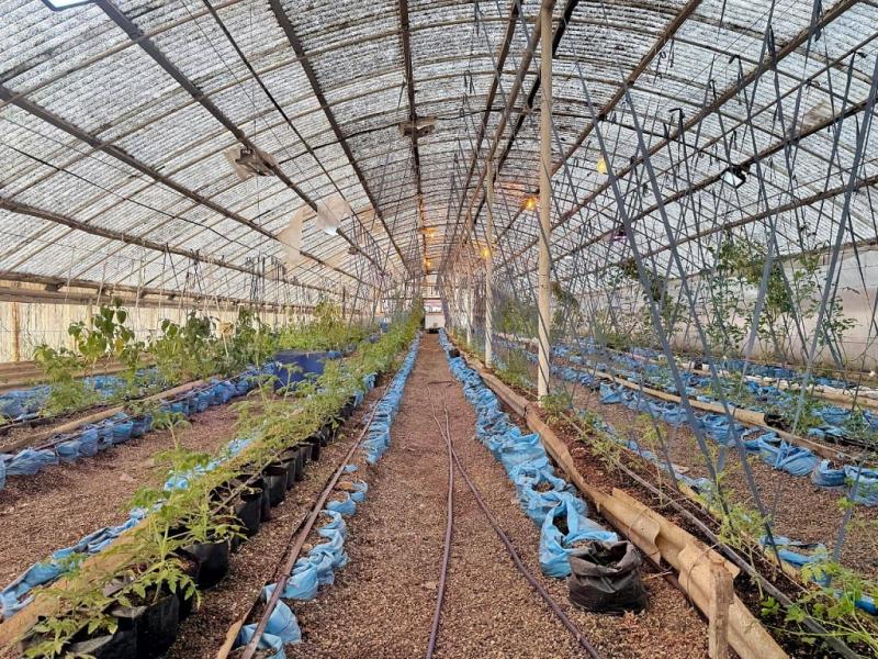 Los productos de RGA Alimentos tienen una gran aceptacin por parte de los vecinos y vecinas de la provincia. En lo que va del 2025, ya se comercializaron 600 kilos, demostrando la eleccin de alimentos sostenibles y accesibles.