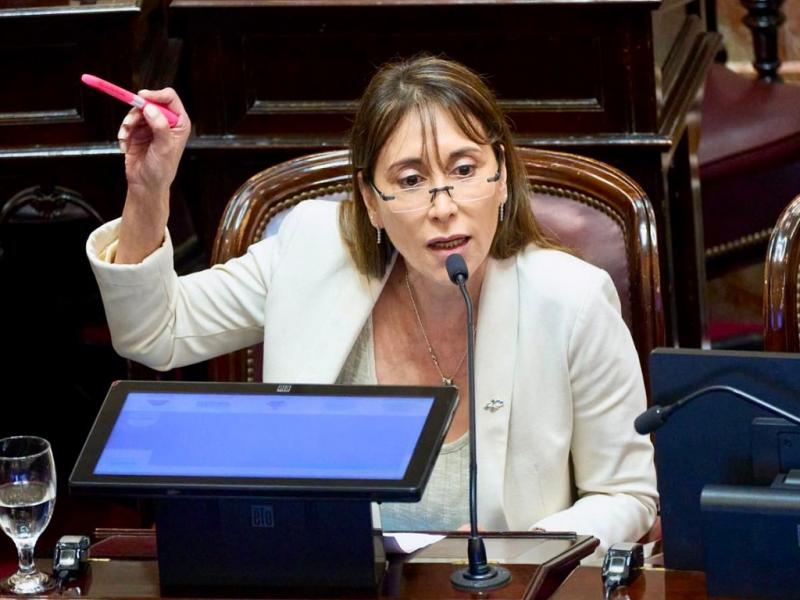 Lo que hizo Milei es un acto de crueldad poltica. Vetar la educacin pblica y vetar la salud de los ms chicos no es gobernar, es castigar y gobernar de espaldas al pueblo argentino, sostuvo la Senadora nacional Cristina Lpez.