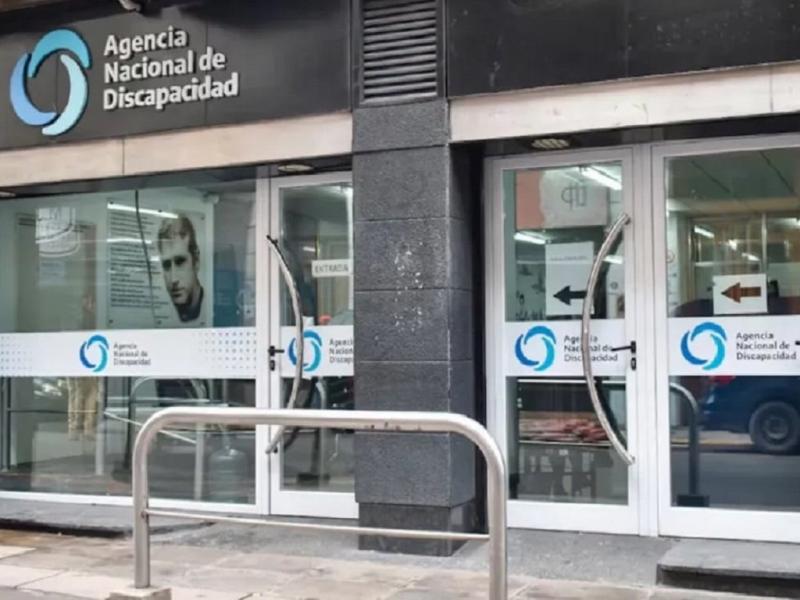 En la demanda se solicit a la Justicia que condene al ANDIS a restituir en forma inmediata las pensiones, argumentando que la conducta estatal implic una violacin del debido proceso y del derecho de defensa.