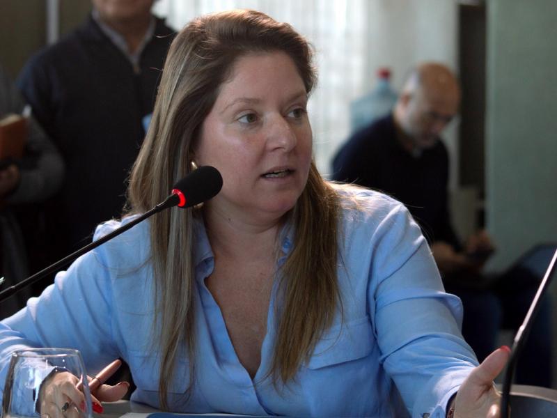 Daiana Freiberger record que desde su banca present proyectos para priorizar la demanda individual de terrenos municipales, sin obtener respuesta por parte de la gestin de Vuoto.