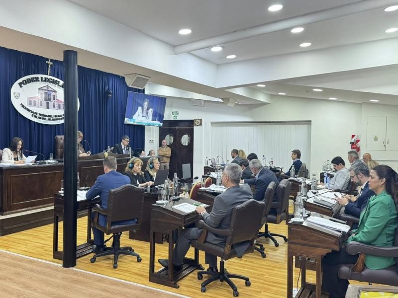 La definición del tema dejó en evidencia las divergencias que generó puertas adentro del bloque oficialista y de la bancada del PJ, ya que Sciurano (FORJA) y Vuoto (PJ) votaron en disidencia de la postura mayoritaria de ambos bloques.