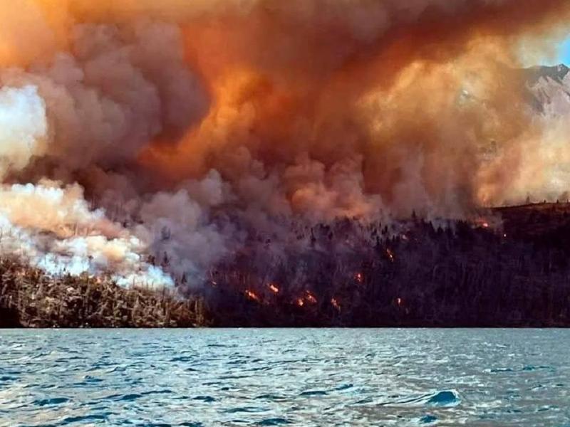 “Al día de hoy se quemaron 168 mil hectáreas en La Pampa, más 45 mil en Chubut, alrededor de 10 mil en Río Negro, 6 mil en Neuquén, y aproximadamente 700 hectáreas en Santa Cruz”, describió el Gobernador de Chubut, Ignacio Torres.