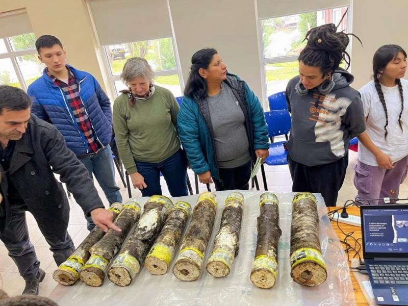 La propuesta es organizada en conjunto con el Centro de Investigaci�n y Extensi�n Forestal Andino Patag�nica (CIEFAP), el Instituto Nacional de Tecnolog�a Agropecuaria (INTA), y la Universidad Nacional de Tierra del Fuego (UNTDF).