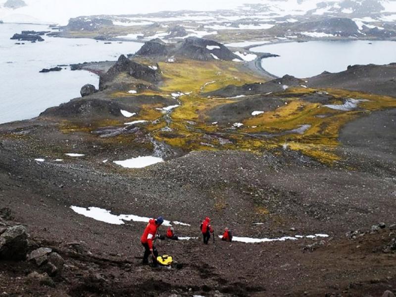 Los investigadores no descartan la incidencia de la actividad humana local, vinculada principalmente al turismo ant�rtico y a las bases cient�ficas que operan en la regi�n.