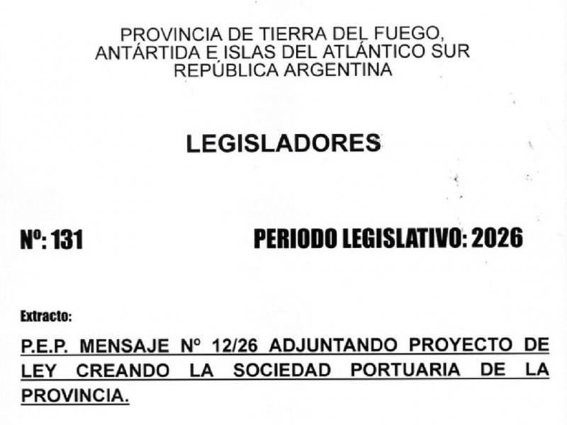 El proyecto de creación de la Sociedad de Inversión, Desarrollo y Gestión Portuaria S.A. tenía por objeto replicar un esquema similar al de la empresa Terra Ignis en el ámbito portuario.