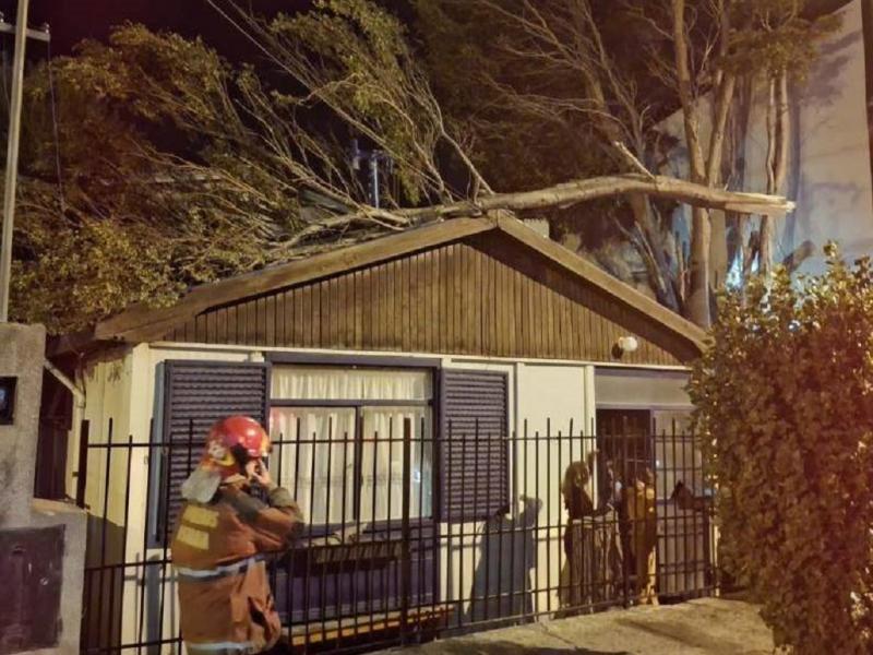 Las principales intervenciones estuvieron relacionadas con la ca�da de �rboles sobre viviendas y tendido el�ctrico, voladura de techos y da�os en estructuras de viviendas habitadas.