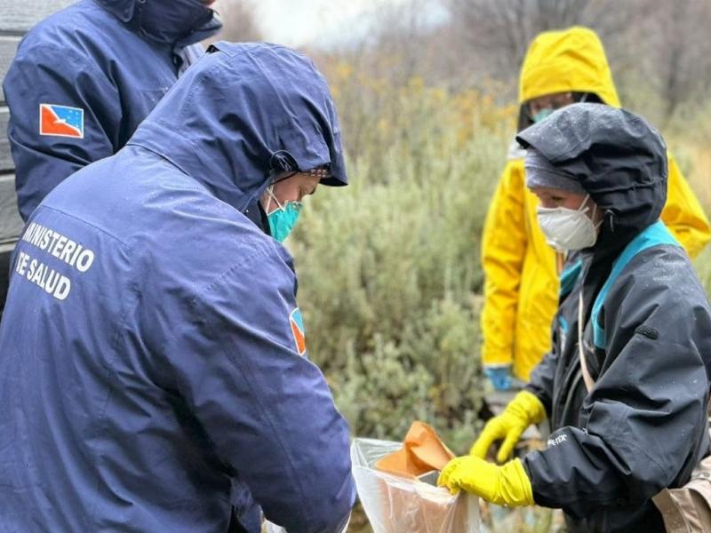 Desde el Ministerio de Salud de Tierra del Fuego destacaron que el operativo permitir� fortalecer la vigilancia epidemiol�gica y generar informaci�n clave para el seguimiento sanitario y ambiental vinculado al hantavirus en la regi�n.