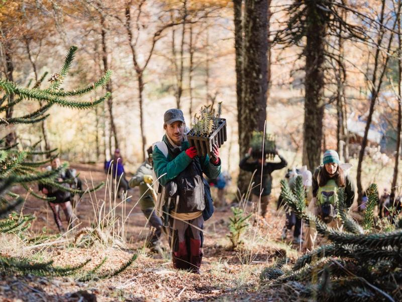 Mar�a G�mez Peracca alert� sobre el crecimiento de los incendios forestales en la regi�n y asegur� que, �el cambio clim�tico lleg� para quedarse�, por lo que consider� clave fortalecer la prevenci�n y la conciencia social.