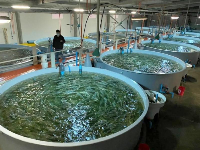 �Estos proyectos representan una oportunidad para ampliar la matriz productiva provincial y generar nuevas actividades econ�micas en las zonas centro y norte de la provincia�, destac� el Ministro de Producci�n y Ambiente, Francisco Devita.