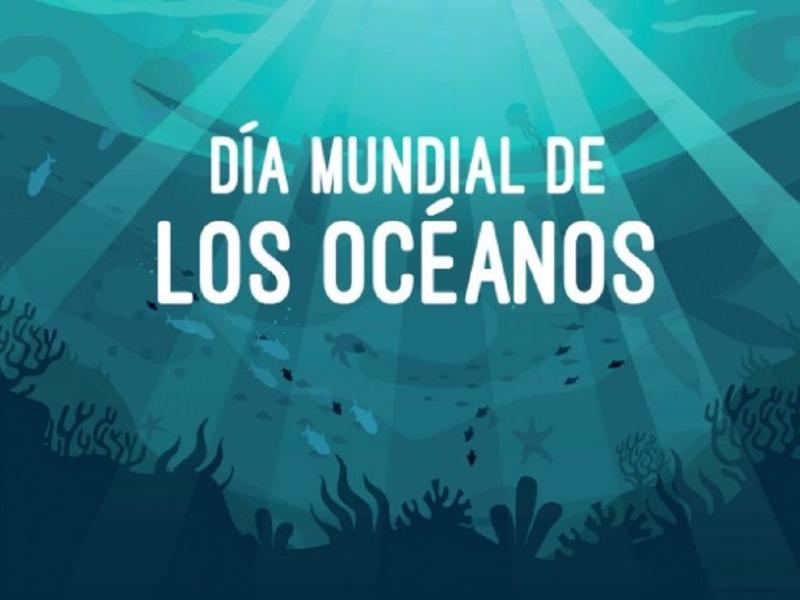 El oc�ano cubre m�s del 70% del planeta, produce al menos el 50% del ox�geno que respiramos, regula el clima, alberga la mayor parte de la biodiversidad y es la principal fuente de prote�nas para m�s de mil millones de personas.