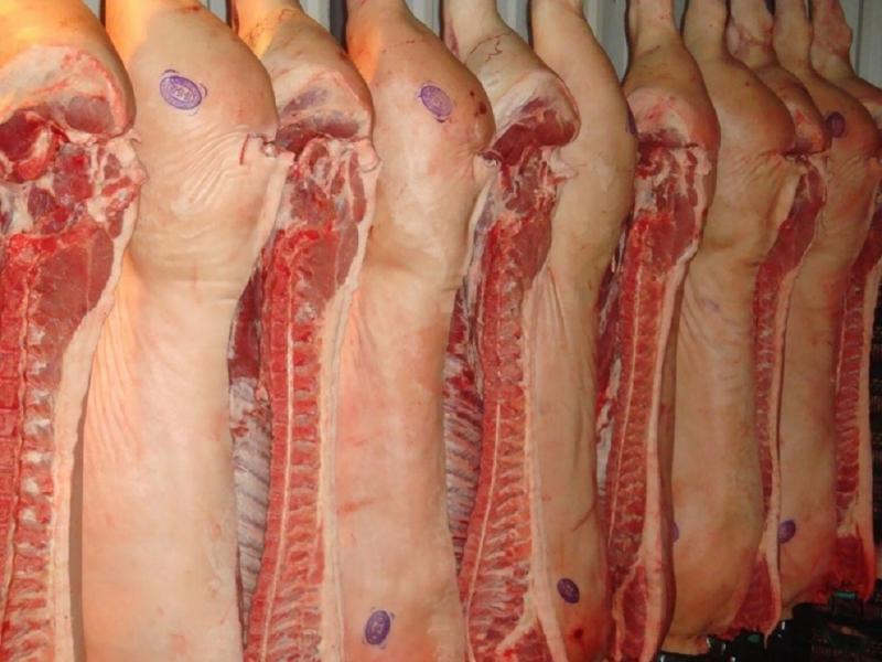 �Tanto la versi�n de la familia como del comercio contin�an siendo las mismas, con lo cual no est� clara la fuente de origen del brote�, informaron desde el Ministerio de Salud de Tierra del Fuego.