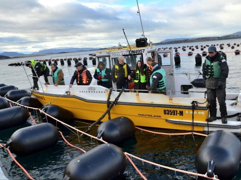 La segunda jornada tuvo lugar en Puerto Almanza, donde la comitiva conoció el trabajo que desarrolla la empresa Newsan en el cultivo de mejillones.