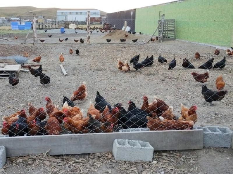 El Concejal Jonatan Bogado destacó la importancia de la aprobación de la propuesta y valoró especialmente el “trabajo desarrollado junto a los productores locales y las distintas áreas municipales vinculadas al sector productivo”.