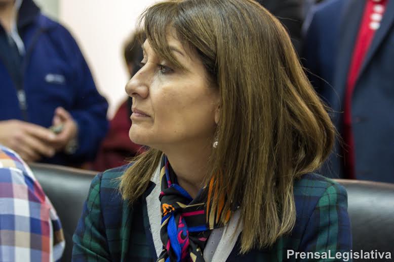 Legisladora Amanda Del Corro, Bloque Partido Social Patagnico (PSP) en la Legislatura de Tierra del Fuego 