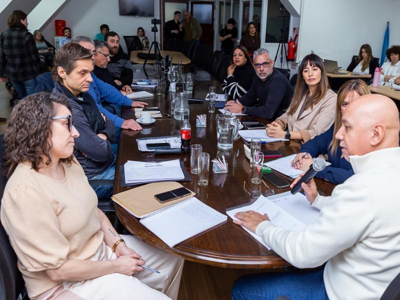 El cuerpo parlamentario prev� solicitar reuniones con el ex Subsecretario de Telecomunicaciones de la Naci�n, y con Directores del Ente Nacional de Comunicaciones (ENACOM), para precisar su participaci�n en el proceso de autorizaci�n.