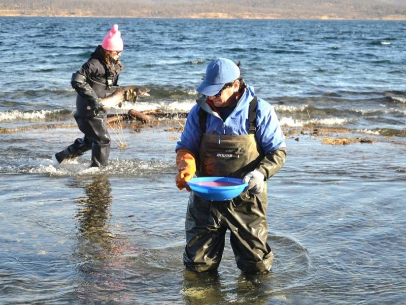 Cabe destacar que, si bien la recolección de huevos se realiza en áreas protegidas provinciales, la siembra de peces se lleva a cabo exclusivamente en zonas permitidas para la pesca deportiva.