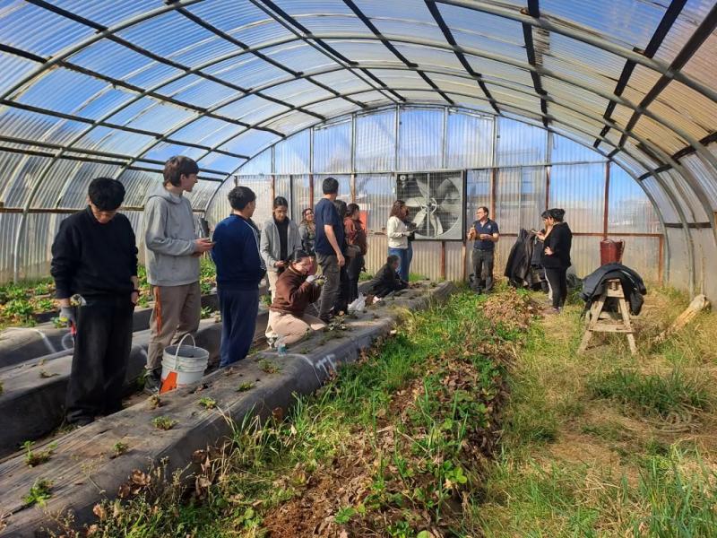 La jornada finaliz� en el espacio de experimentaci�n con la poda de primavera, el retiro de nuevos plantines de las plantas madre y su trasplante al camell�n de producci�n definitivo.