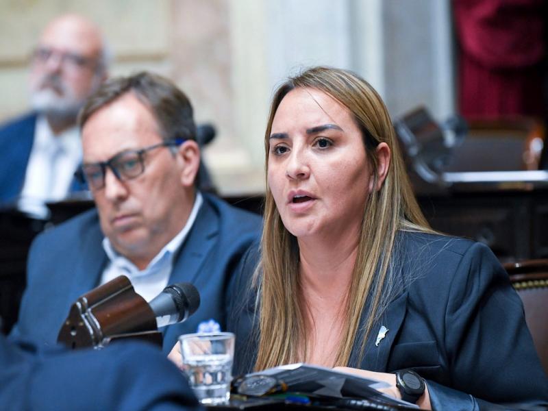 �Si nuestra C�mara tambi�n lo rechaza, el Decreto cae. La Corte ni siquiera se pronunci� sobre su constitucionalidad: la decisi�n est� en manos del Congreso, y no vamos a mirar para otro lado�, resalt� Andrea Freites.